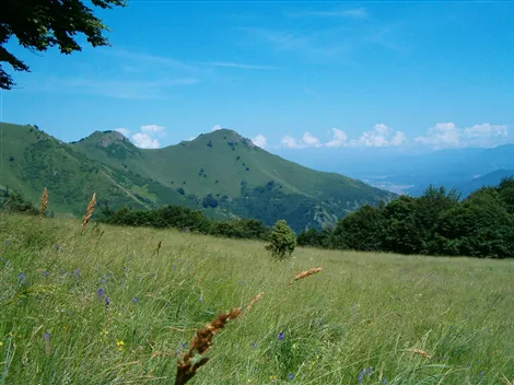 Monte Tajarè - vista dal Bosco delle Fate